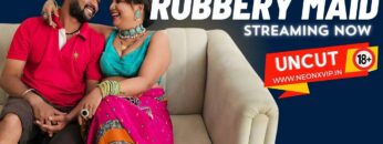 ROBBERY-MAID