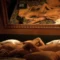 Indian Kamasutra 2026 Hindi Uncut Sex Video