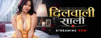 Dilwali-Saali-Ep1-MoodX