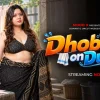 Dhobi-on-Duty